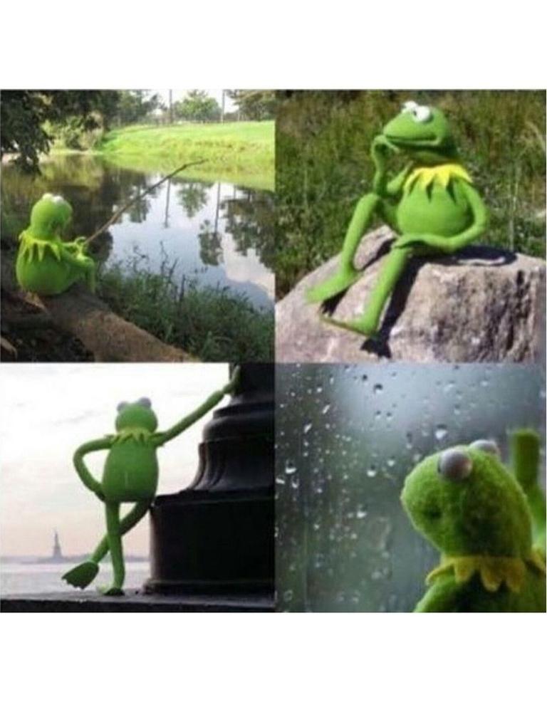 Waiting for the next bull market be like... 🐸
#themcryptofeels
