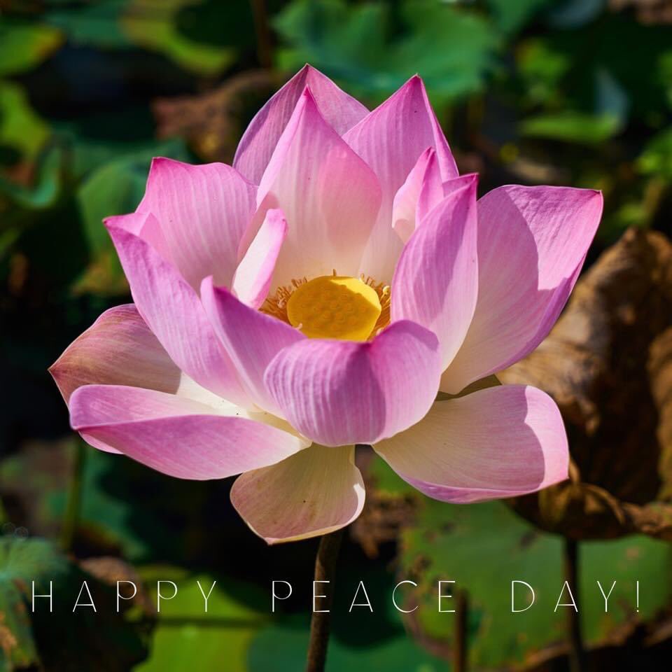 SixthStMusic's tweet photo. Happy International Peace Day 2022! This year’s theme is: “End Racism. Build Peace.”

Let us all create Peace Day every day!

#peaceday #peaceday2022 #endracism #buildpeace #peacetoall #peacetotheworld #worldpeace #worldpeaceday #internationalpeaceday #internationalpeaceday2022 https://t.co/9zMkgIeXKS