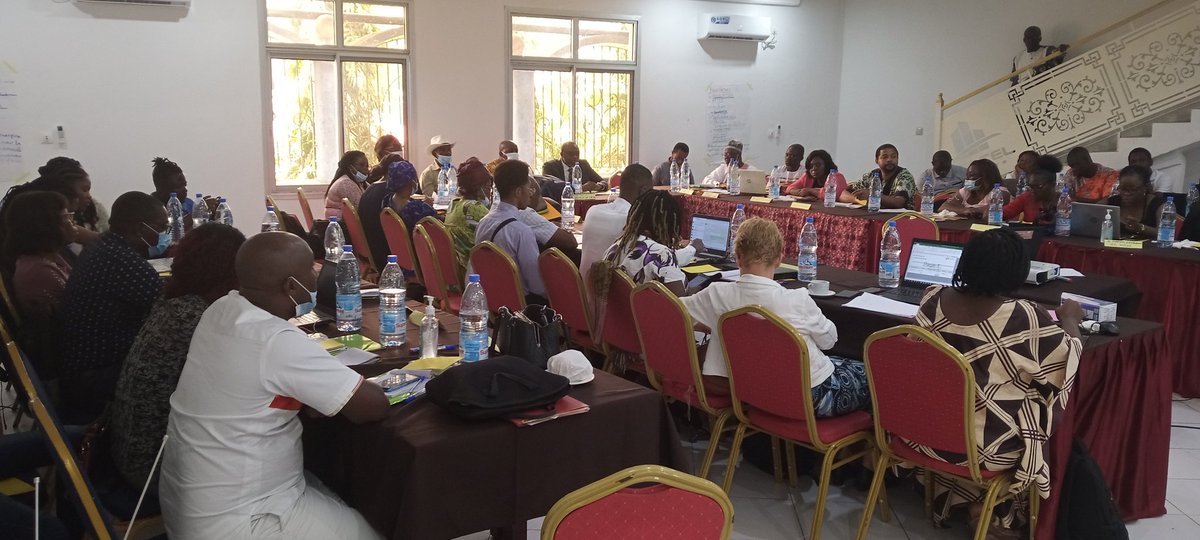 ALTERNATIVES Cameroun tweet media