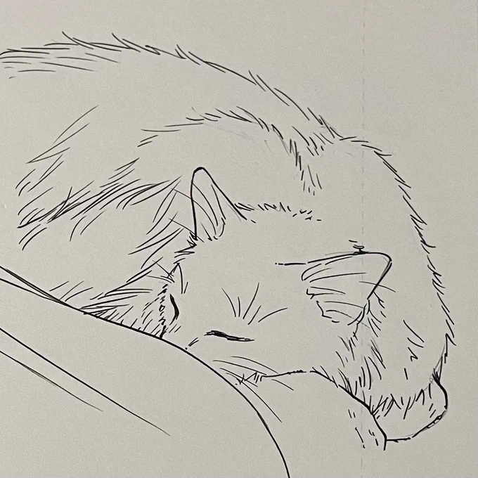 猫は良い……🐾 雨音家のニャンコのモデルはうちの墨です。チラッ