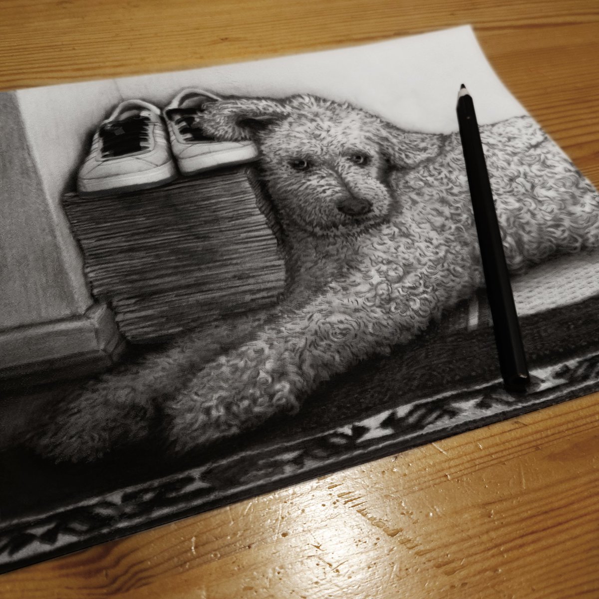 GoodGirlComics's tweet photo. Good Girl often looks so funny when she lies on the floor that I decided to draw a picture of one such moment.✏️ The first picture is a charcoal pencil drawing of our dog and the second picture is an original photo of the situation.📸 https://t.co/HUGzfb4yIb