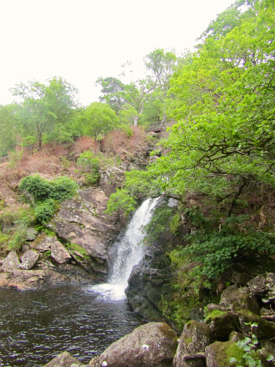 AwayMaja's tweet photo. The West Highland Way: Day 3! π₯Ύπ΄σ §σ ’σ ³σ £σ ΄σ Ώ
14 miles from #Rowardennan to #Beinglas
Challenging terrain along the eastern shore of #LochLomond β by far the most difficult of the hike! Treated to a waterfall at Inversnaid and last views of the lochπ
#WestHighlandWay #WHW @official_whw https://t.co/fFXOY6byON