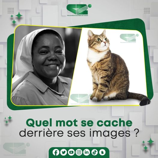 Canal 2 International tweet media