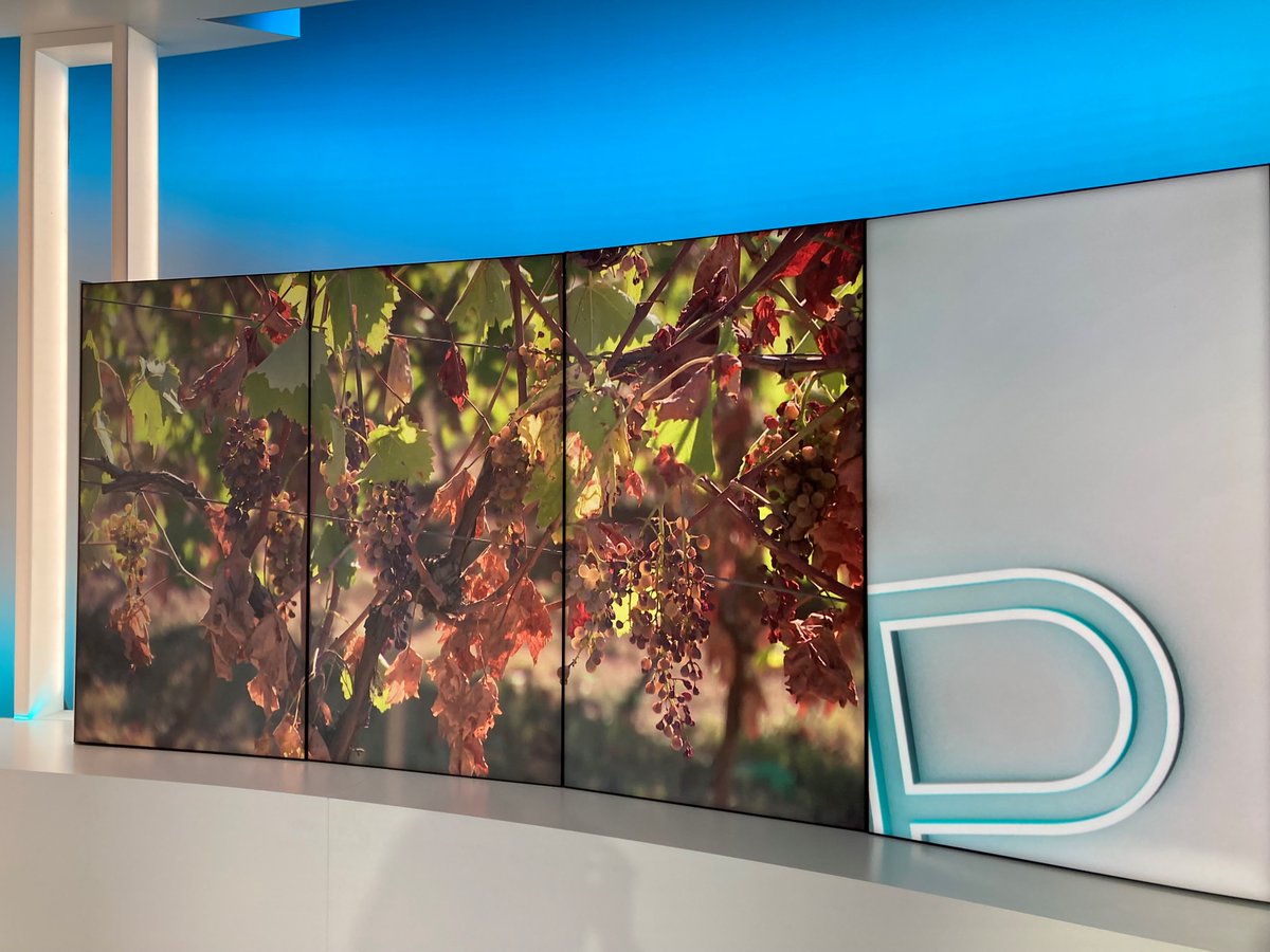 CristofariMA's tweet photo. A quoi ressembleront les vignes et les vins du futur ? #RéchauffementClimatique #Sécheresse #Tendances #Consommation C'est le thème de notre émission ce soir. RV à 21h sur @France3NoA, vendredi 9h45 sur @F3PoitouChtes @F3Limousin @F3Aquitaine #Disputandum @Ampelidae @Inabottle_fr https://t.co/A7YRfk4qCO