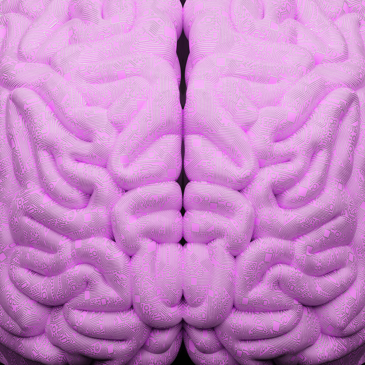 natashaloder's tweet photo. 🚨The latest @TheEconomist #TechnologyQuarterly is just out!
It is about the brain, although specifically it tells the story of a renaissance in clinical neuroscience. 🧠
The illustrations are absolutely stunning. (https://t.co/DhHwl3N330)
Read it >> https://t.co/ky7ocUVIc3 https://t.co/CH8cJObddT