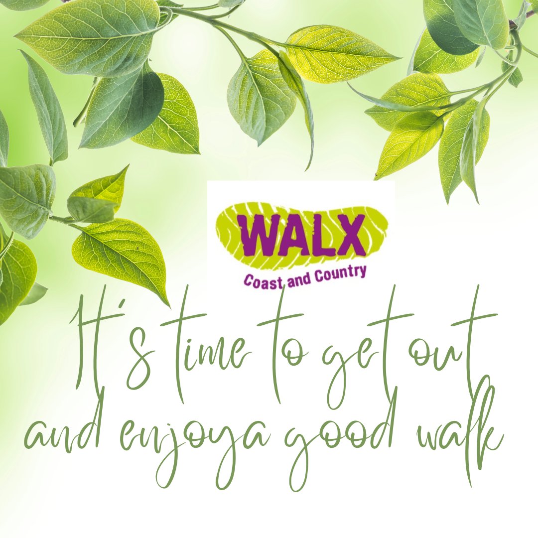CoastCountryNw's tweet photo. Now that the evenings are getting darker and the weather is starting to change, it is the perfect time to get out and meet new people.
#walx #walxclub #makingwalkingwork #health #fitness #nwuk #walking #mentalhealth #nordicwalking #Autumn #makingfriends #sussex #wellness #tbw https://t.co/yO0DETYCeT