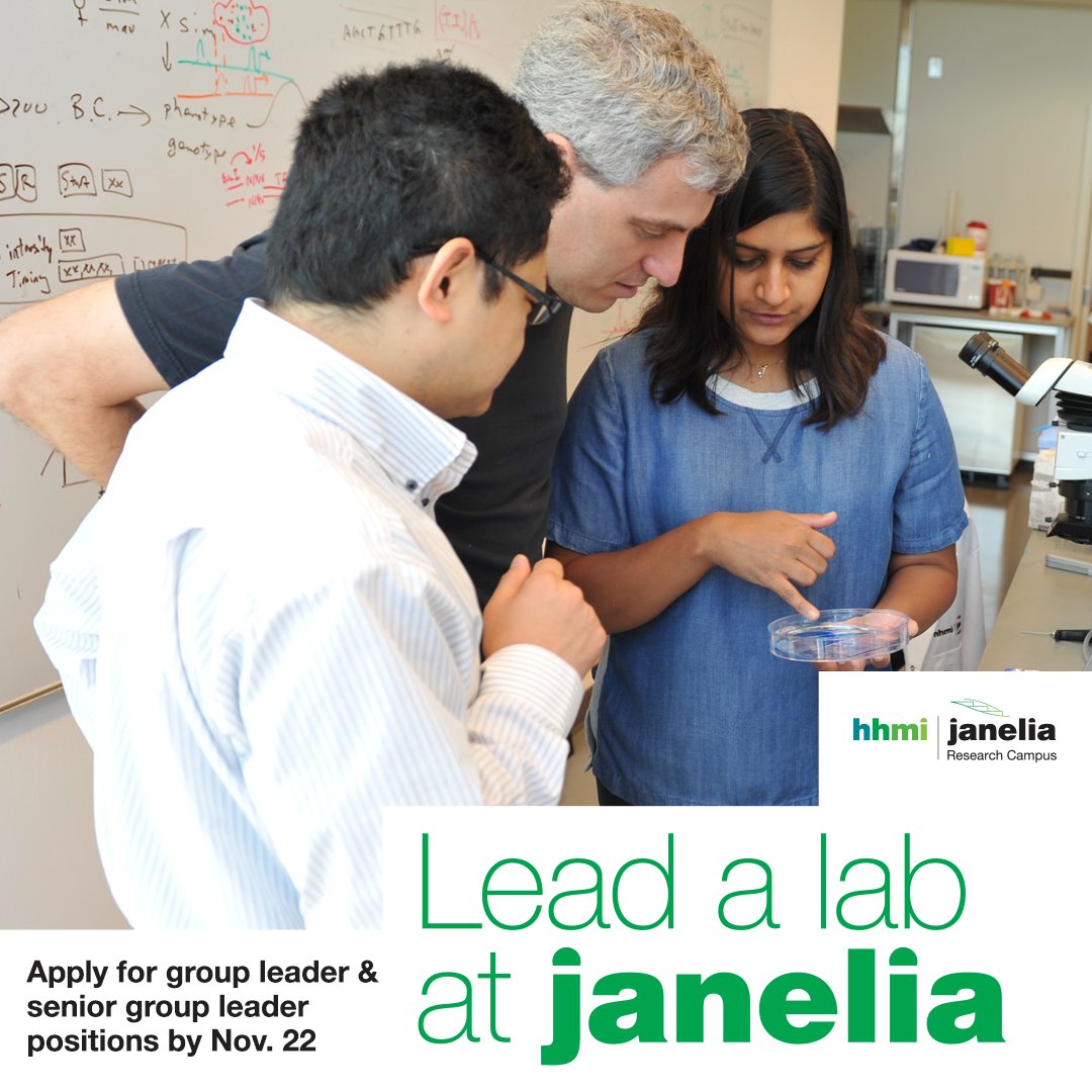 Are you ready to lead a lab? 🥼 We’re looking for scientists at all career stages – from recent PhDs to senior scientists -- to direct teams of researchers in collaborative long-term projects across our research areas. Apply by Nov. 22 ▶️ janelia.org/our-research/o… #ScienceJobs
