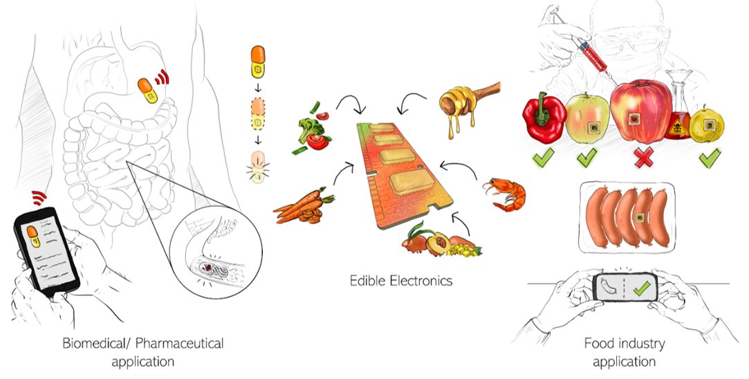 ELFO - Electronic Food