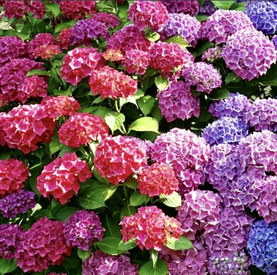 Primera tarde de formación con <a href="/escuela21/">alejandra montes</a>, muy buen comienzo!
Hagamos “florecer” a nuestros alumnos, seamos jardineros, y no jueces poniendo notas…claustro @CarmelitasSF <a href="/EscuelasVedruna/">Fundación Vedruna Educación</a>