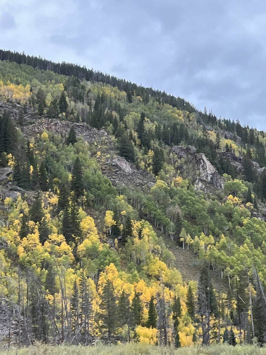 Larry Lyder tweet media