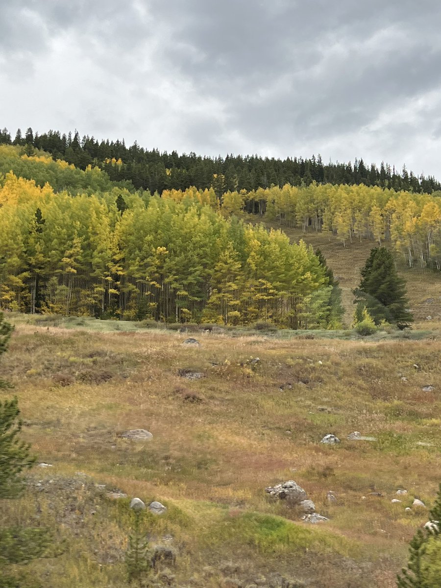 Let the continued learning begin today after a beautiful drive over the mountain yesterday.