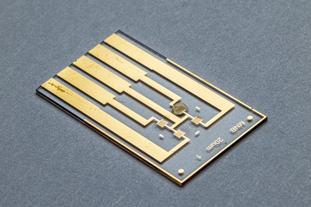 gatechengineers's tweet photo. With 1 drop of blood, this chip can electronically detect Covid antibodies &amp; distinguish whether they’re from vaccine or natural infection. The chip also can potentially screen for multiple infections at once. How @anisircar &amp; team did it: https://t.co/Co7UFCzrsc https://t.co/6sakd11T6C