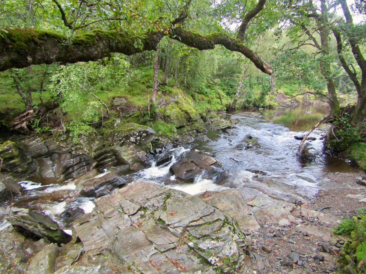 AwayMaja's tweet photo. The West Highland Way: Day 4! π₯Ύπ΄σ §σ ’σ ³σ £σ ΄σ Ώ
12 miles from #Beinglas to #Tyndrum
A wet and misty morning (midge heaven) through the hills and forests above #Crianlarich. The trail into Tyndrum was surrounded by heather, which was just stunning! π
#WestHighlandWay #WHW @official_whw https://t.co/lbCUwBE68e