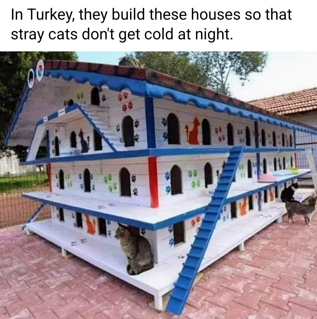 😻😻😻👏👏👏🖤🤍🖤