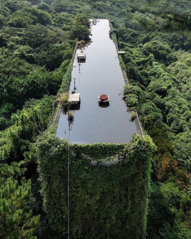 AmabilidadVerde's tweet image. La naturaleza tomó lugar en este edificio abandonado y además agregó una piscina en el techo.

#naturaleza #lugaresabandonados #edificiosabandonados #amabilidadverde