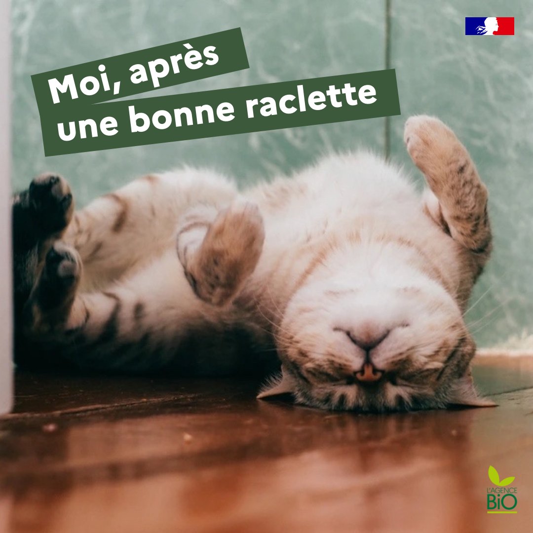 agence_bio's tweet photo. Qui dit baisse de température dit saison des raclettes ! 🤩
🫕Quoi de mieux que de faire sa 1ère raclette de l'année avec un bon fromage fabriqué à base de lait bio, accompagnée de charcuterie et de pommes de terre #bio ! ❤️
#BioReflexe #BioetDélicieux #BioetLocal https://t.co/eRqM6NUwha