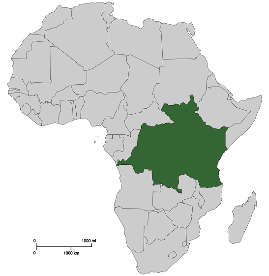 What would occur if this group of nations voted to adopt a single currency?