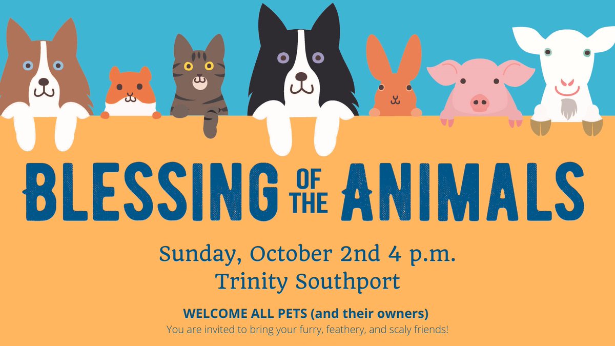 trinity_spt_ct's tweet photo. Bring your furry, feathery, and scaly friends for a special blessing at Trinity Episcopal Church in Southport, Sunday, October 2nd at 4:00 pm.
This special event, which is free and open to ALL, is a celebration of the Feast Day of Saint Francis of Assisi, patron saint of animals. https://t.co/Bu8yD4ZAsi