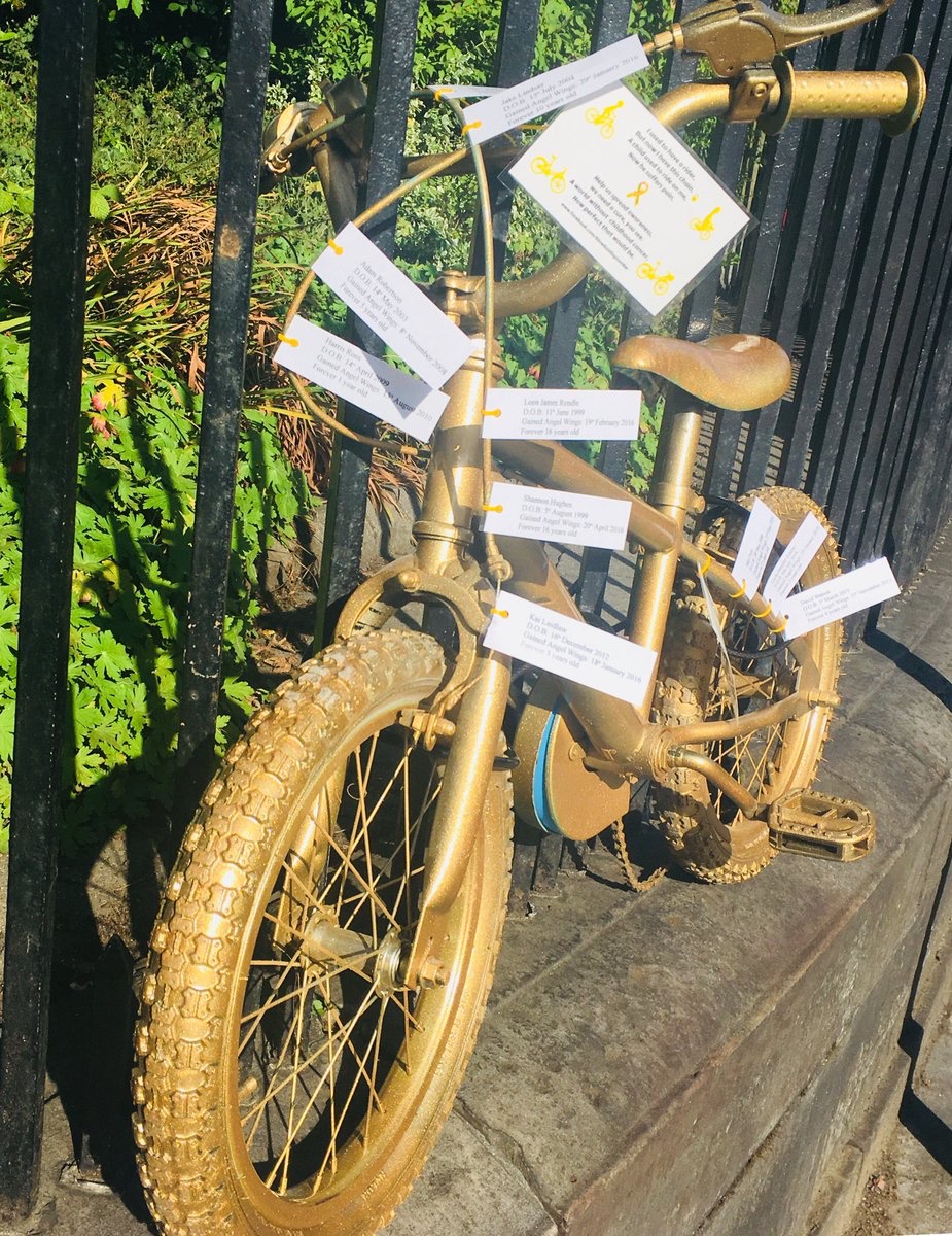 Day 21🎗
#ChildhoodCancerAwarenessMonth 

There’s a neighborhood with large homes &amp; fine trimmed yards that puts up purple bows every September for prostate awareness month. 
That’s great!
But, what about kids?
Their color is GOLD🎗
Because children are more precious than gold💛