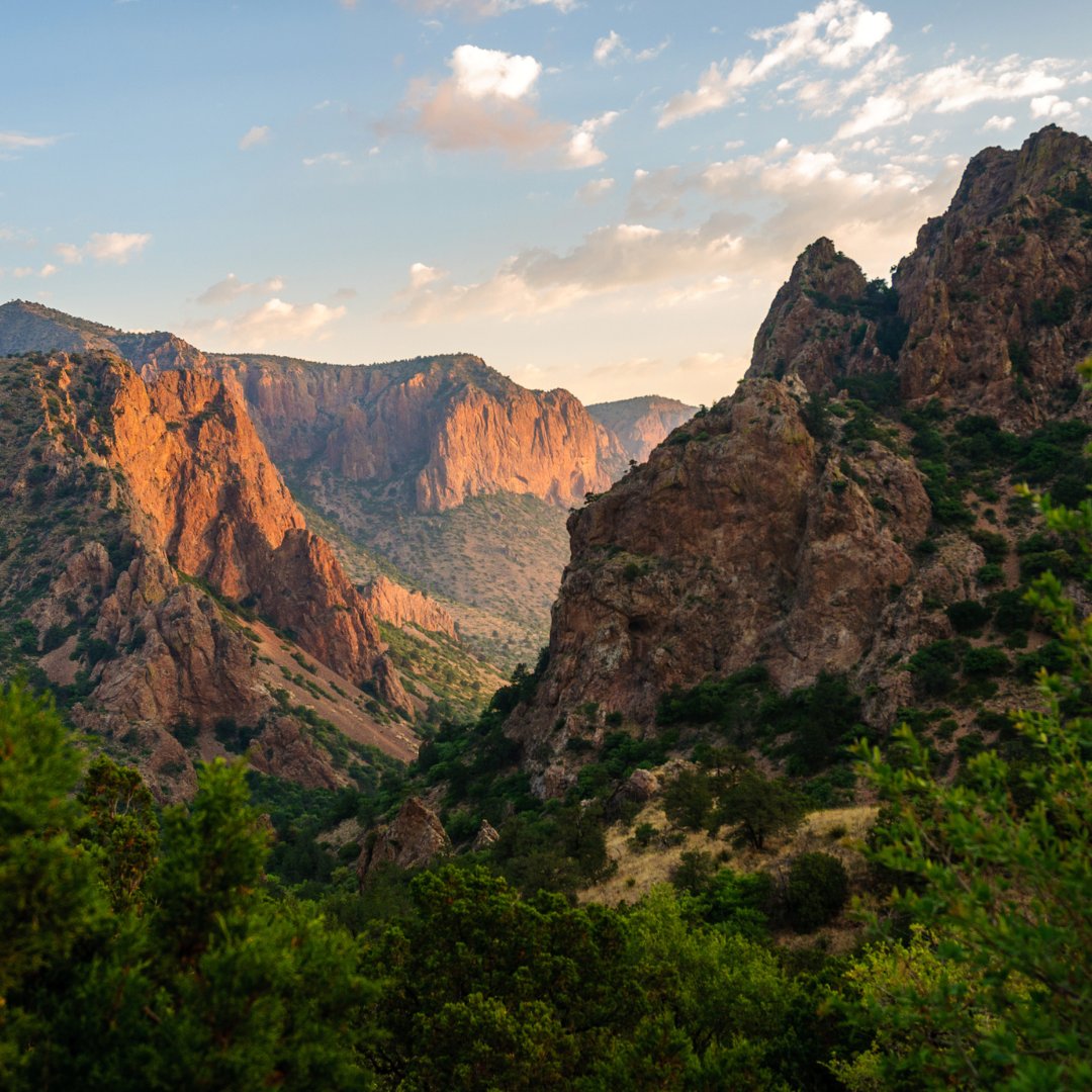 TexanbyNature's tweet photo. We're catalyzing conservation in our state with #ConservationWrangler Each year, we select up to 6 conservation projects. For 18 months, we accelerate these projects with tailored support from program management: https://t.co/3XxAgQZgO1 https://t.co/ivkUGnfkhL