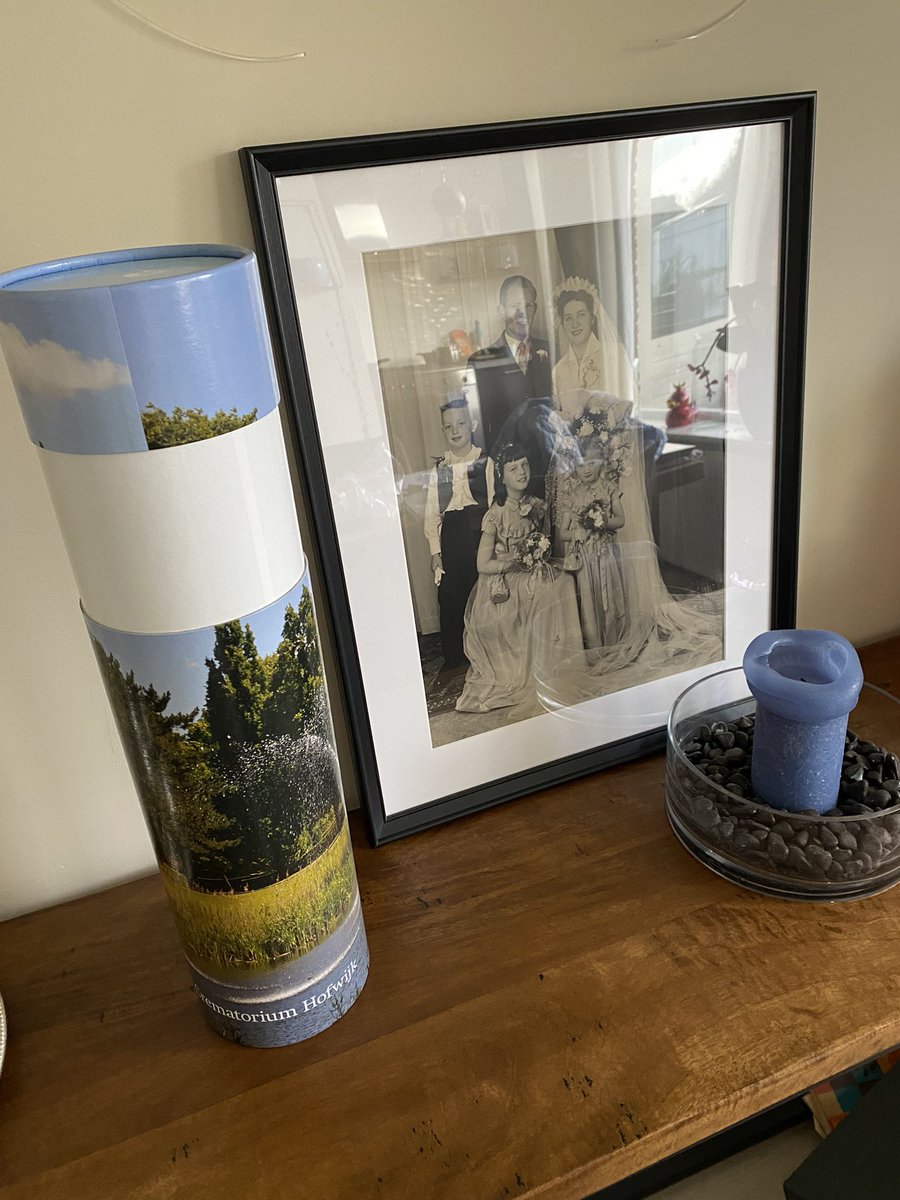 zij van de Blij tweet media