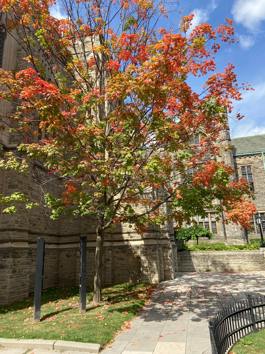 Trinity_College's tweet photo. Views of the Trinity campus #SpecialSpacesatTrinity
#LastDayOfSummer https://t.co/U0UsD7K02W
