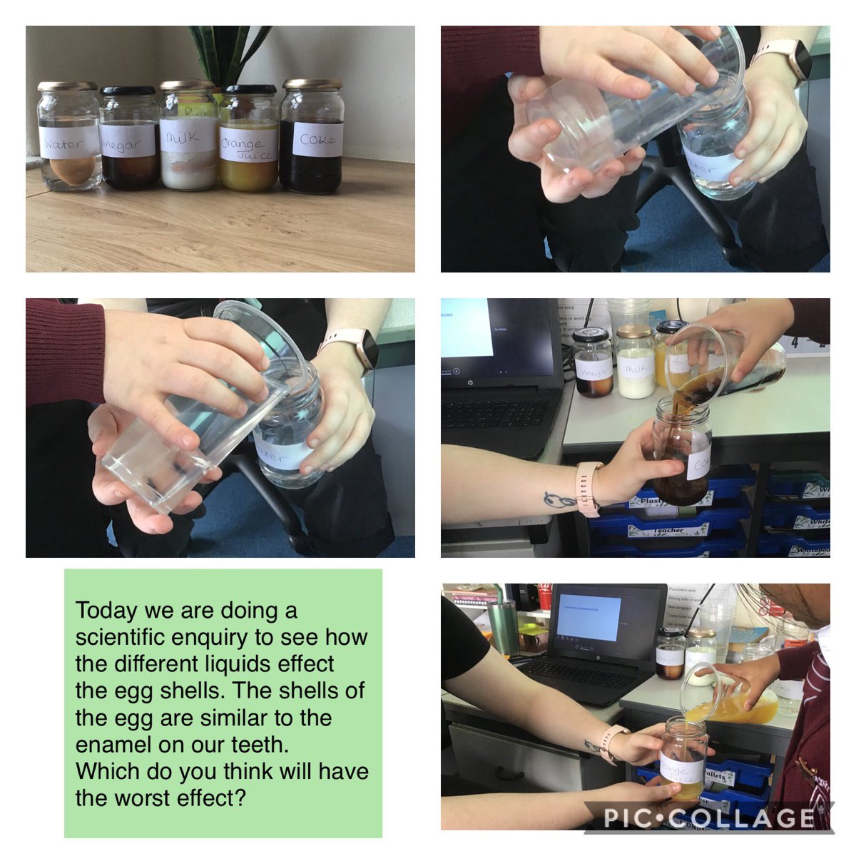 StCeciliascjs's tweet photo. Year 4 completed their ‘egg-speriment’ today. They had a look at the effect different food and drinks have on enamel. 

#StCeciliasScience https://t.co/bZC0j61ZfW