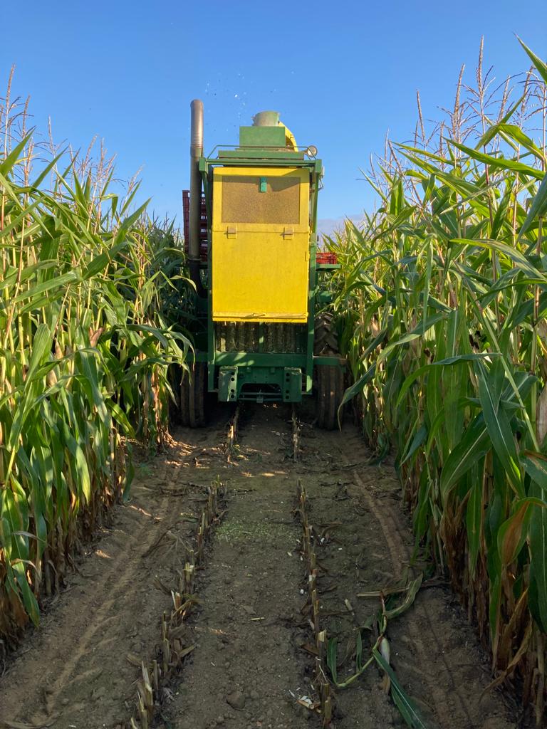 La Source Bretagne tweet media