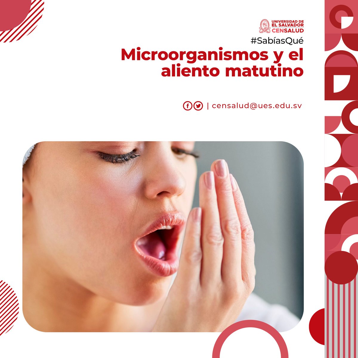 CensaludUES's tweet photo. #SabíasQué el aliento matutino es debido a los compuestos químicos que producen los compuestos volátiles por parte de las bacterias de la boca durante la noche. 
#CENSALUD #Ciencia #Microbiología https://t.co/OsnPgjx02V
