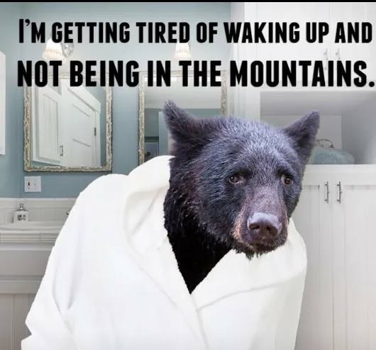 cuddleupcabins's tweet photo. Are you looking forward to waking up in the mountains with cool mornings and having coffee on the porch? https://t.co/iB8LVIcrkG