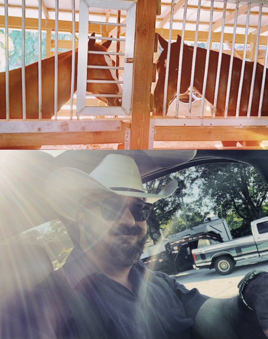 MORNING SUN https://t.co/KJKu1NIbbY