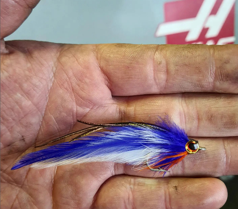 Saltwateronfly's tweet photo. A great trout pattern as well
@guerrillaflies
Semper
Quick break from tying GameChangers to whip up this peacock/blue/white/orange.

#flytying #flyfishing  #saltwaterflyfishing
#saltwaterflyfishingsouthafrica  #bassflyfishing #bassfly  #bassonfly #largemouthbass #semperfly https://t.co/EhSsZ5Teiq