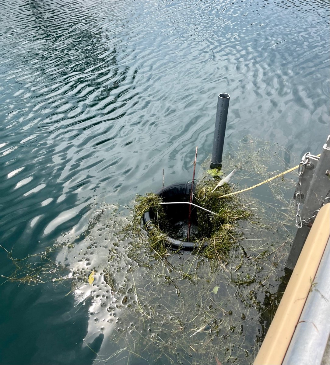 TOPortAuthority's tweet image. After almost four months, another successful Seabin season with @UofTTrashTeam is complete! 

We are looking forward to this season’s data. Stay tuned!

#FightingFloatables  #TrappingTrash #Seabin