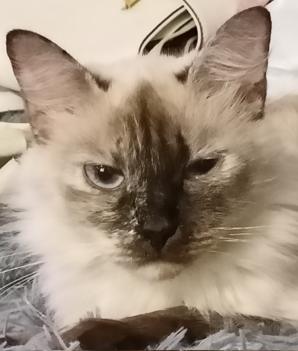 AXAXAXAA's tweet image. муд дня примерно такой: