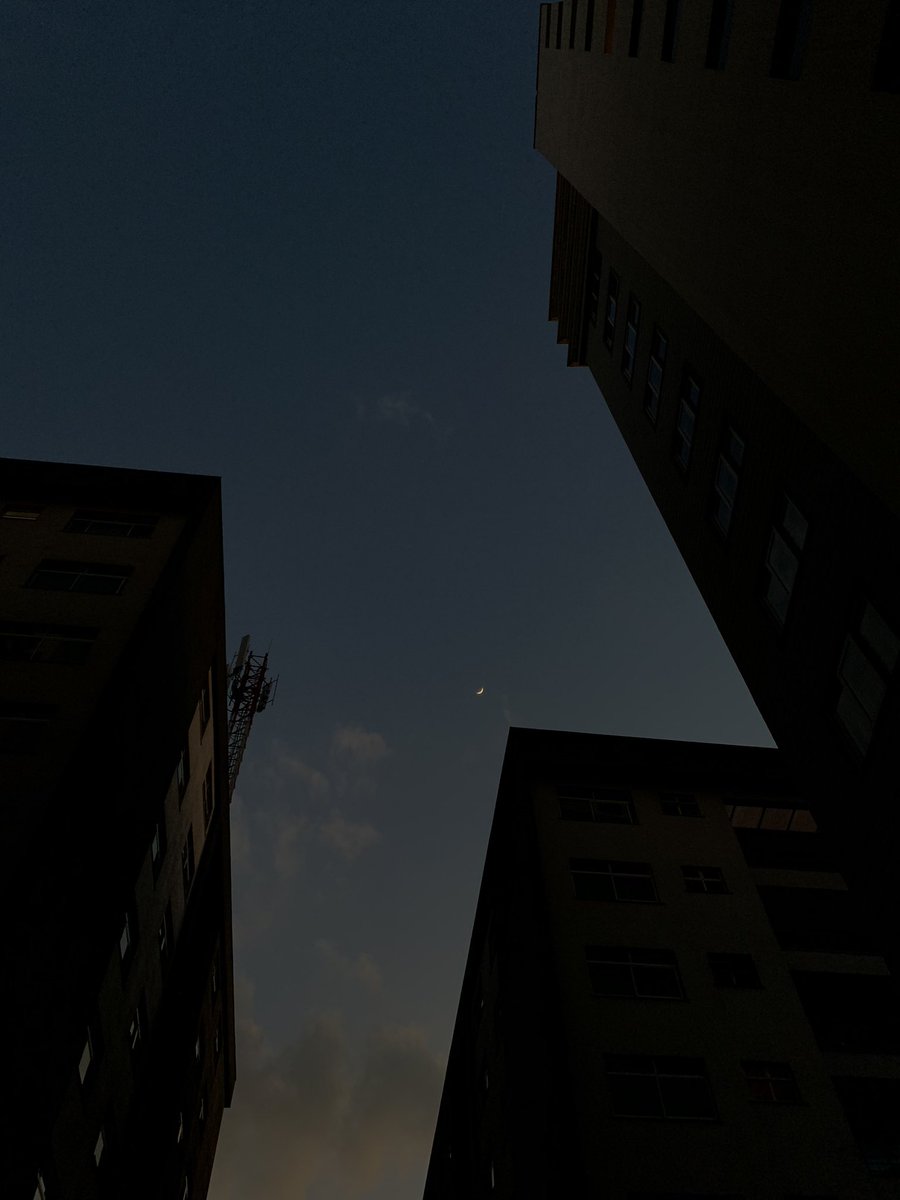 undfndprsnts's tweet photo. Kicking off #pocketsofpeace with a view from my home. #GN
Day 1: https://t.co/K0Rz1kKrGm