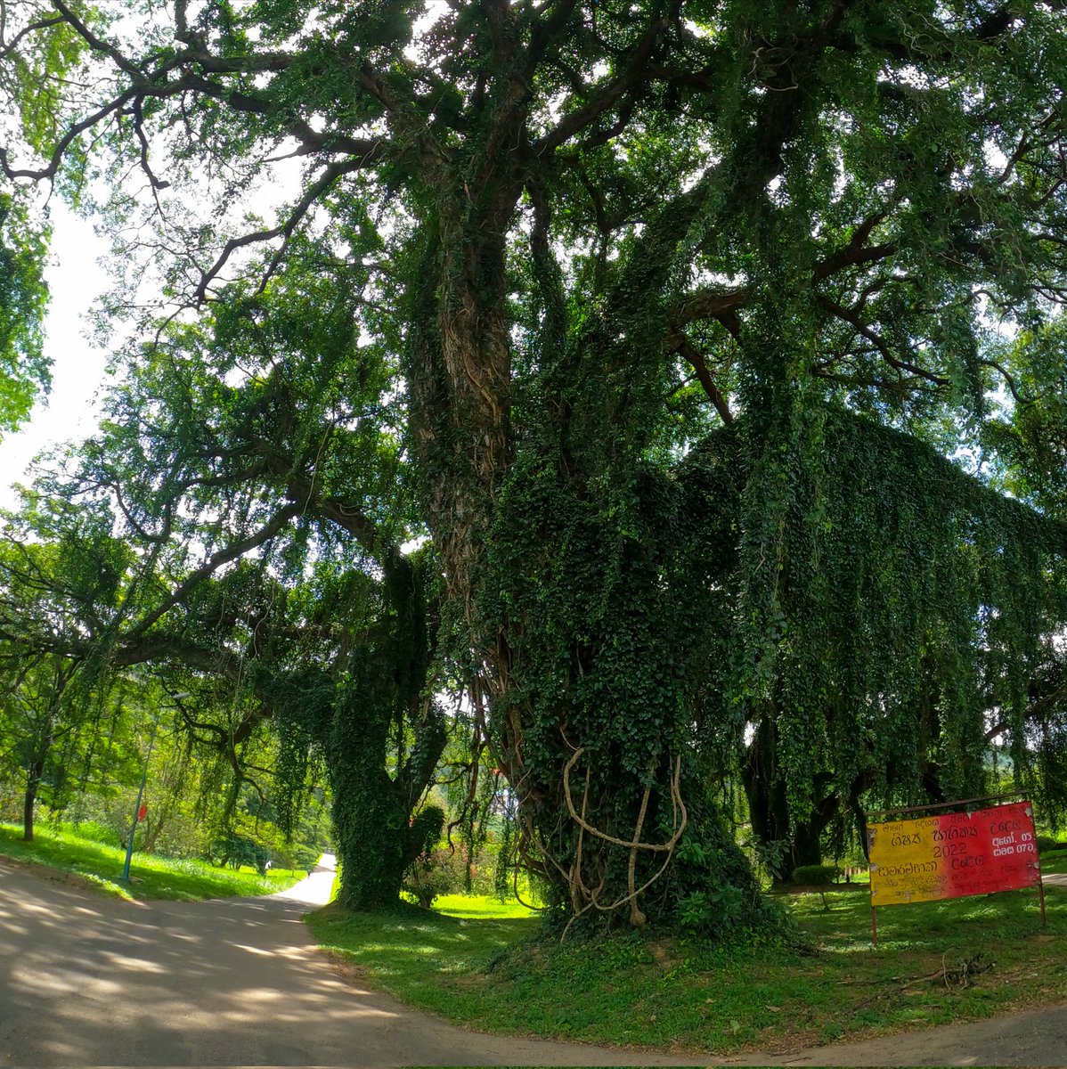 Unknown Hiker | Dasun Tharaka tweet media