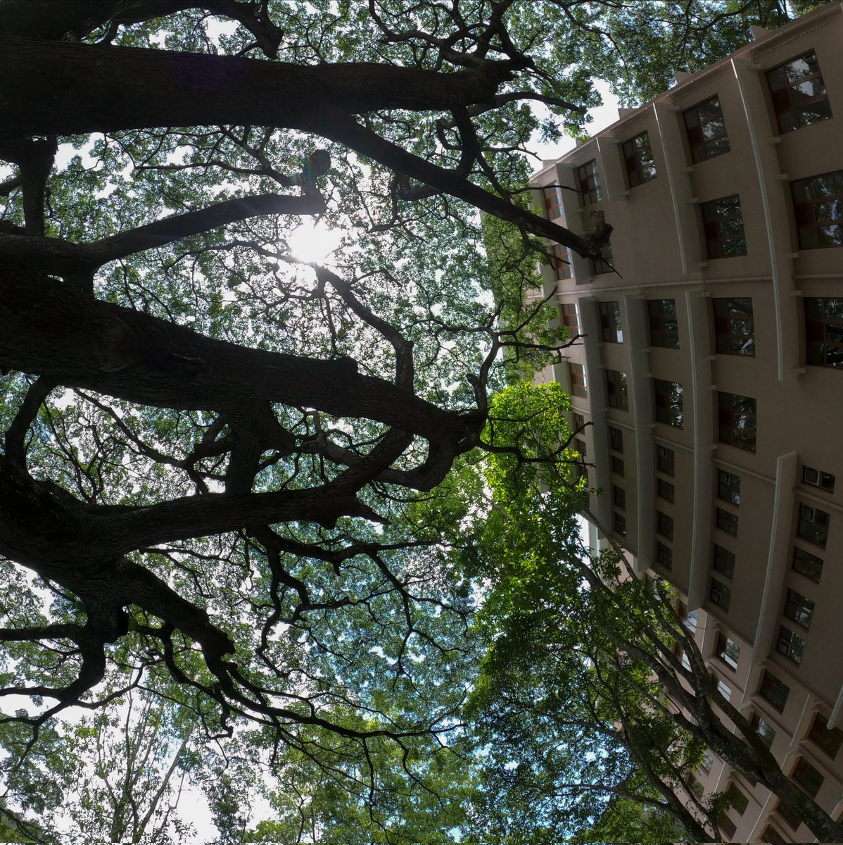 Unknown Hiker | Dasun Tharaka tweet media