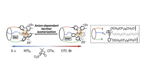 CSJjournals_jp's tweet image. fac/mer Isomerism | Anion | Tripodal ligand
Article by Prof. Tatsuya Nabeshima @UNIV_TSUKUBA_EN (University of Tsukuba) is available
#Isomerization #IronComplex #MetalComplex #Supramolecular

journal.csj.jp/doi/10.1246/cl…