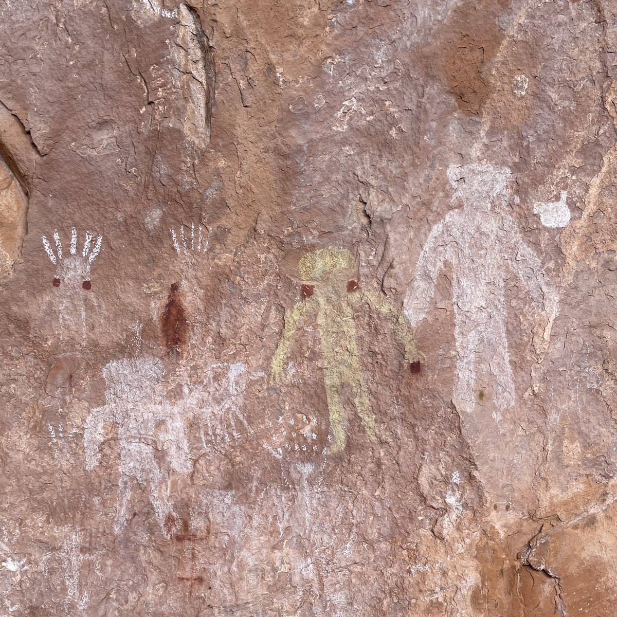 Carl_Vibe's tweet photo. Full video is coming today, but these pictographs might be some of only a few known to exist connected to the Grand Canyon Esplanade Polychrome style. Layers of mystery here. https://t.co/bejYFUH50y