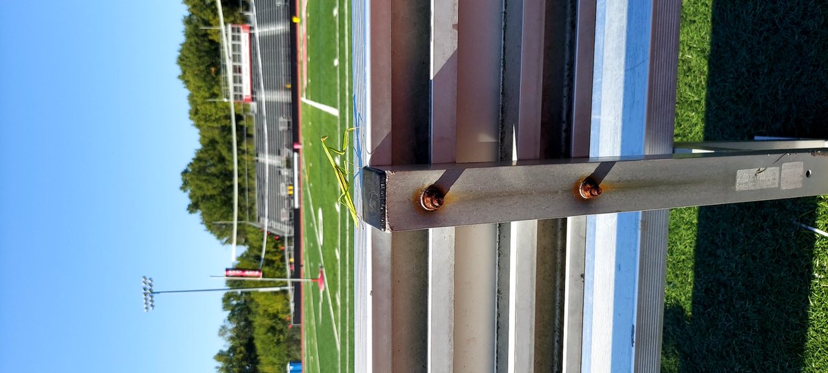 had a visitor this morning on the turf!