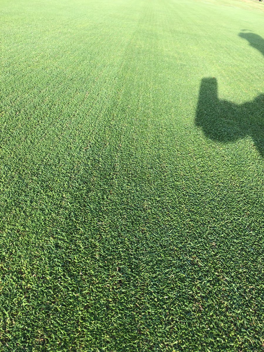 High Legh Park Greens tweet media