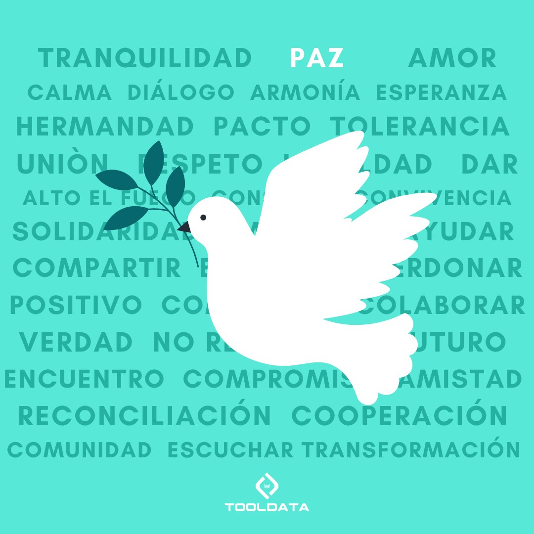 tooldata_io's tweet photo. 👩🦰Hoy es el #DíaMundialDeLaPaz, desde @tooldata_io queremos manifestar nuestro compromiso en la construcción de una sociedad mejor 🌼
¡La paz es posible si todos nos involucramos!
#CompartirElAlma #PeaceDay #DíaMundialDeLaPaz #ONU #Latam https://t.co/53Z3PlqPXb