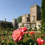 Photo by Powderham Food Fest (@powderhamfest)