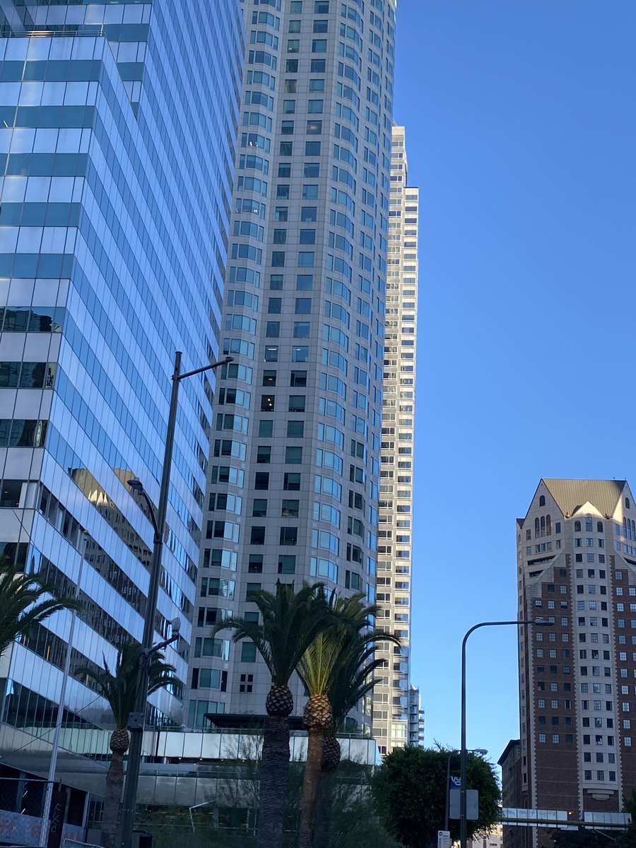 First mandatory palm tree sighting in downtown LA (taken Tuesday) near the #ONA22 hotel