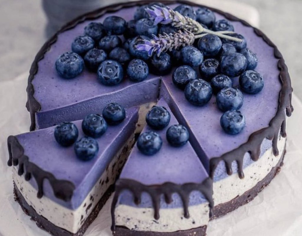 TIjenny11's tweet photo. blueberry cheesecake ♡ https://t.co/RdlFpdTAXS