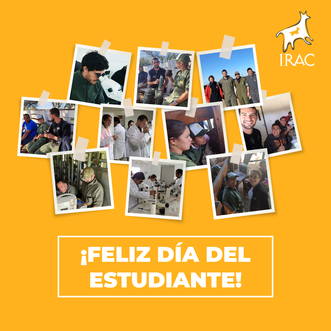 "La educación no cambia al mundo, cambia a las personas que van a cambiar el mundo" Paulo Freire 
¡Feliz día del estudiante! 🙌

#IracBiogen #Capacitaciones #Profesionales #Carreras #Posgrado #ReproducciónAnimal