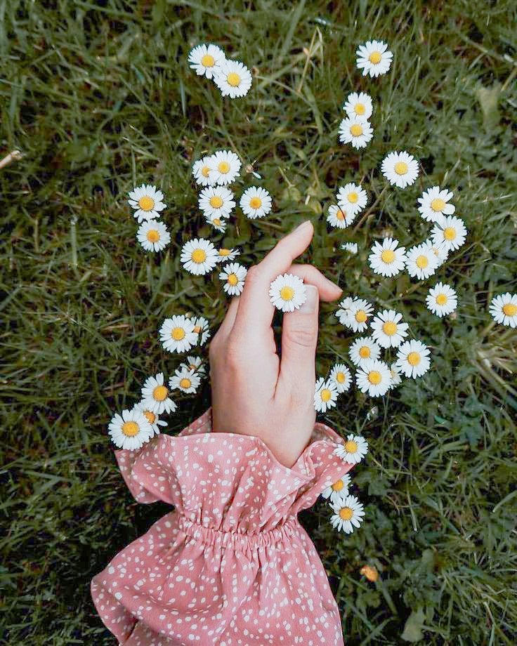 Drowning in daisies...

#3wordspoet #poet #poetry #prompt #writing #readers #reading #poetscommunity #writerscommunity #poetrycommunity #AmWriting #WritingCommunity #readingcommunity #readerscommunity #readersoftwitter #writersoftwitter #PoetryCommunity