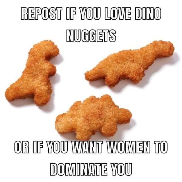 NyxNekota's tweet photo. What if a woman dominated you and then fed you Dino nuggies https://t.co/W5Y6EBCF3U