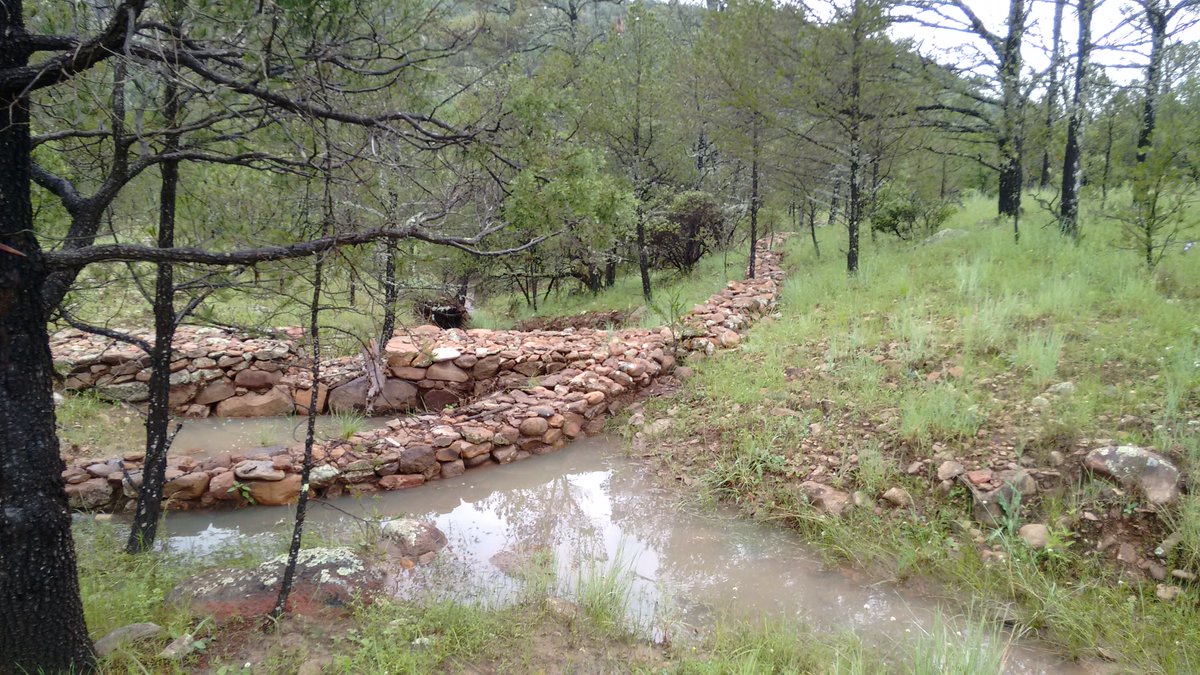 CONAFOR's tweet photo. ¡Objetivo alcanzado! 🎯
Tras la temporada de lluvia⛈️, el agua que retienen estas obras de restauración de suelo de piedra acomodada contribuyen a: 

💧Retener la humedad que servirá a la vegetación. 
✅Disminuir la erosión. 
⤵️Evitar que sedimentos sean arrastrados colina abajo. https://t.co/BYdy3O9DsW