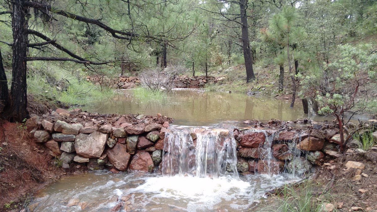 CONAFOR's tweet photo. ¡Objetivo alcanzado! 🎯
Tras la temporada de lluvia⛈️, el agua que retienen estas obras de restauración de suelo de piedra acomodada contribuyen a: 

💧Retener la humedad que servirá a la vegetación. 
✅Disminuir la erosión. 
⤵️Evitar que sedimentos sean arrastrados colina abajo. https://t.co/BYdy3O9DsW